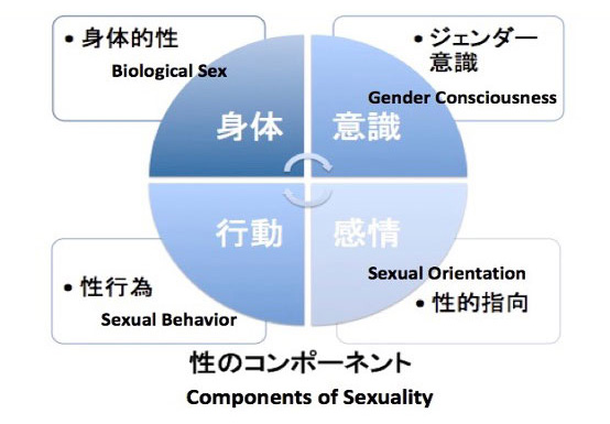 component-of-sexuality